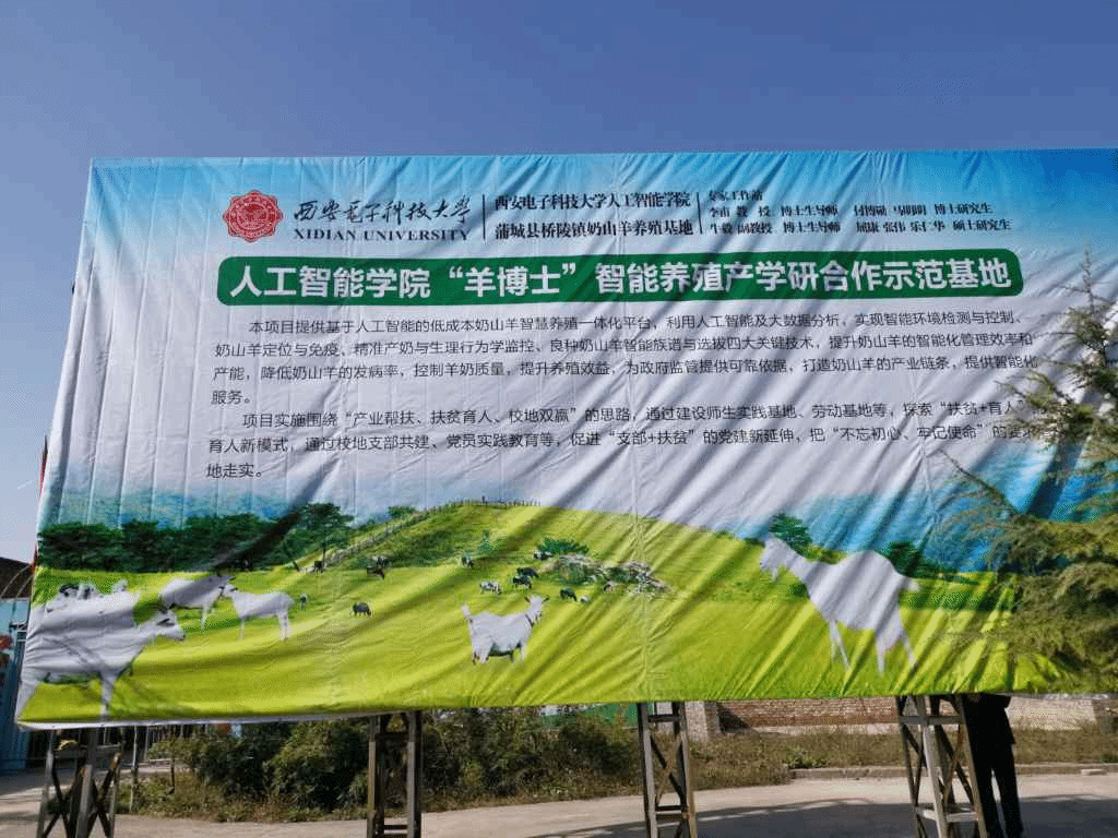 图片 3.png