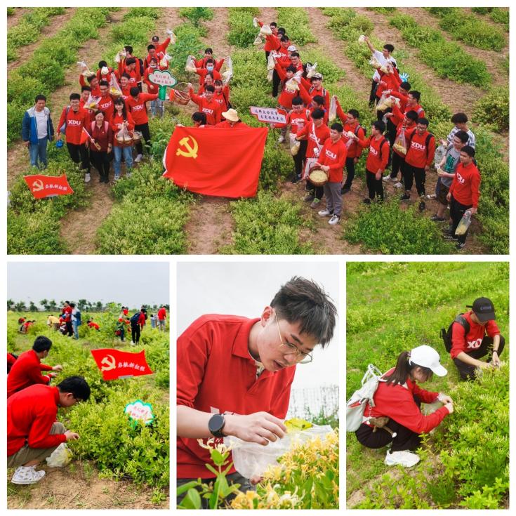 图片1.jpg 图片1.jpg