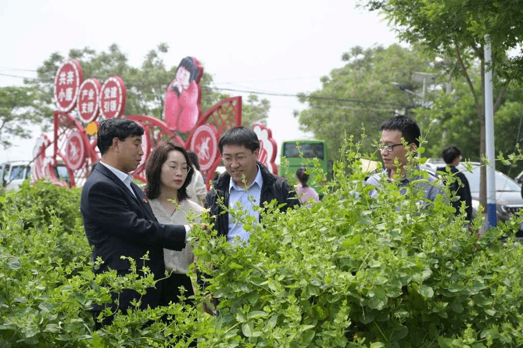 图片 10.png